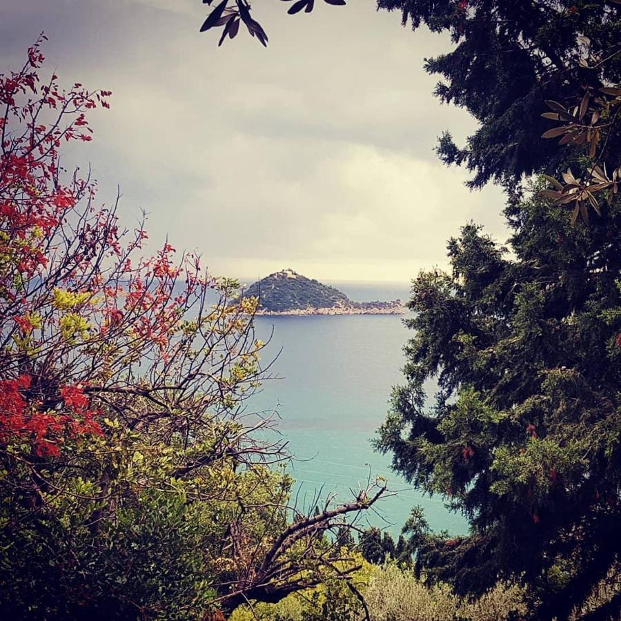 Salvia E Rosmarino - Affittacamere In Liguria Вилланова-д'Альбенга Экстерьер фото