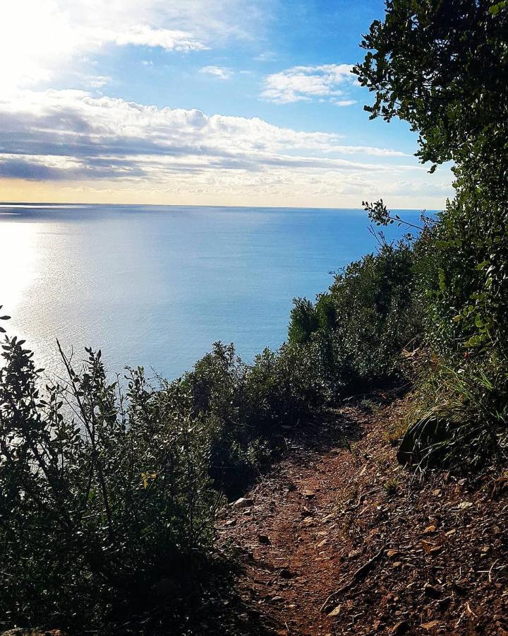 Salvia E Rosmarino - Affittacamere In Liguria Вилланова-д'Альбенга Экстерьер фото
