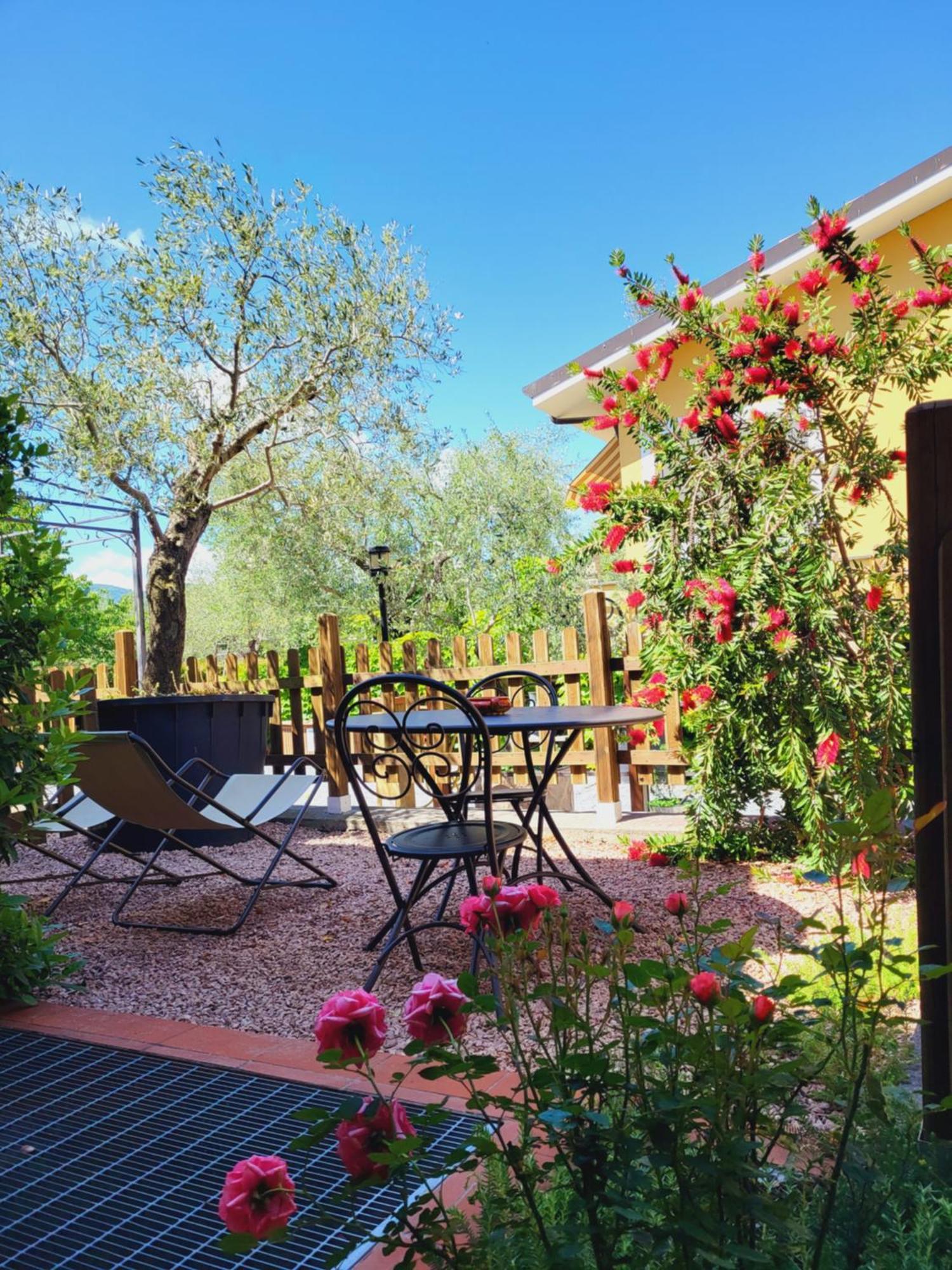 Salvia E Rosmarino - Affittacamere In Liguria Вилланова-д'Альбенга Экстерьер фото
