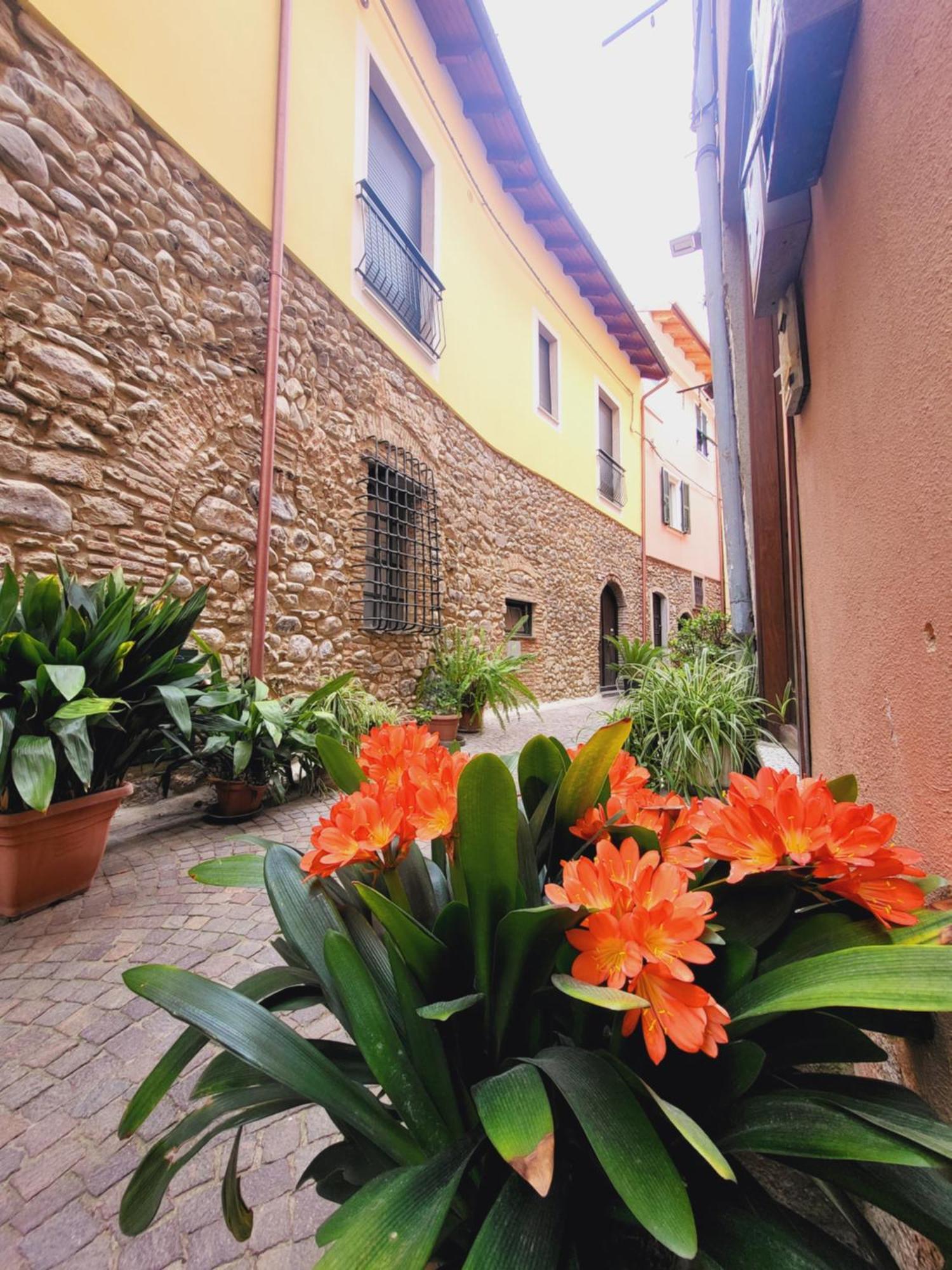 Salvia E Rosmarino - Affittacamere In Liguria Вилланова-д'Альбенга Экстерьер фото