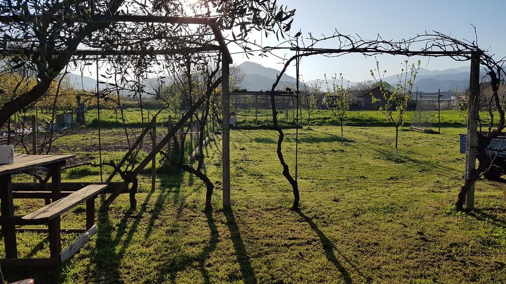 Salvia E Rosmarino - Affittacamere In Liguria Вилланова-д'Альбенга Экстерьер фото