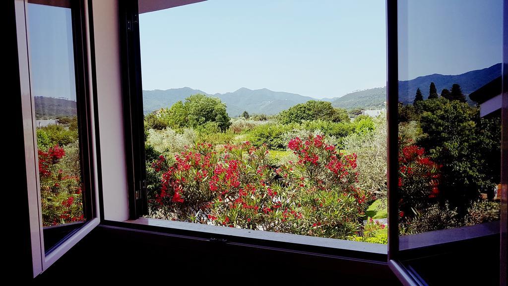 Salvia E Rosmarino - Affittacamere In Liguria Вилланова-д'Альбенга Экстерьер фото